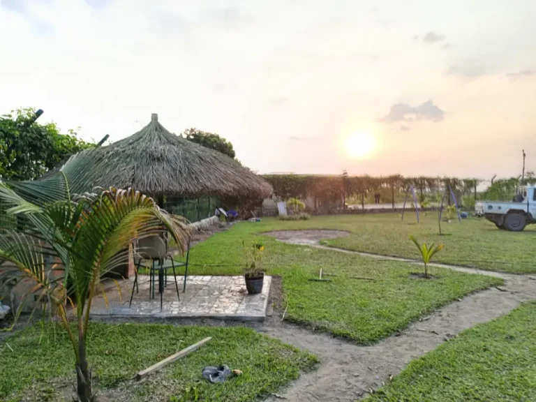 Lire la suite à propos de l’article Droit de l&rsquo;environnement